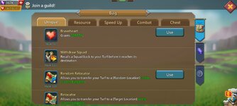 Screenshot_2026-02-21-12-17-38-900_com.igg.android.lordsmobile.jpg