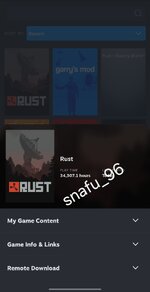 Screenshot_20260227_013129_Steam.jpg