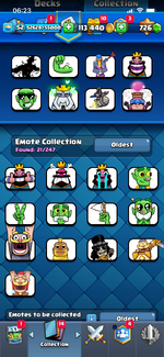 IMG_7287.png