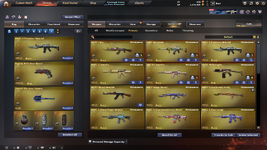 prim1.png