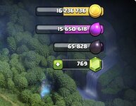 IMG_2981.jpeg