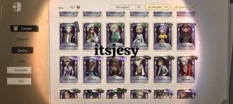 IMG_2355.jpeg