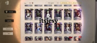 IMG_2356.jpeg