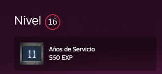steam lvl.PNG
