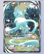 IMG_2591.jpeg