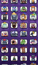 IMG_8372.png