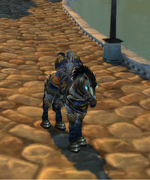 PaladinHU.png