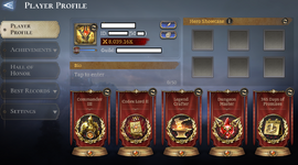 player info.png