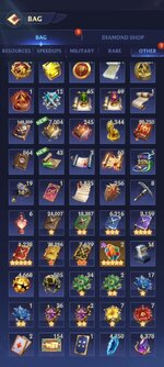 Bag.jpg