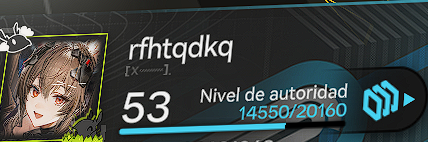 13.png