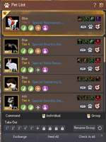 Pet1.png