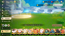 pet 1.png