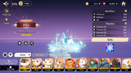 pet 5.png