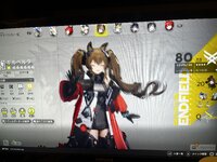 IMG_2990.jpeg