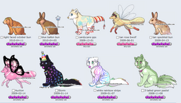 pets2.png