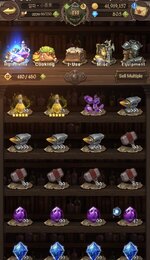 IMG_5211.jpeg