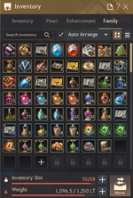 16 - Family Inventory.png