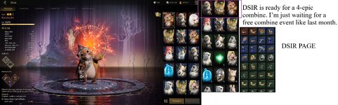 DSIR PAGE.jpg