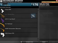 2gun1.JPG