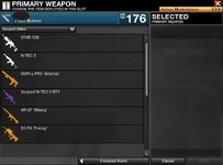 2gun2.JPG