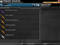 2gun4.JPG