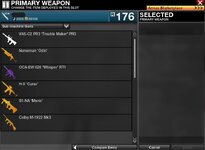 2gun8.JPG