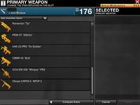 2gun10.JPG