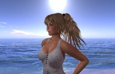 wa01.jpg
