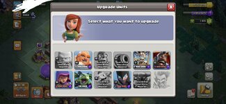 IMG_1667.jpeg