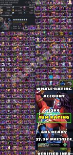 IMG_8226.jpeg