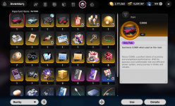 Inventory important items.png