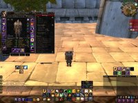 prot1.jpeg