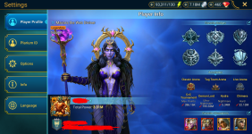 Player Info.png