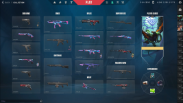 Collection.PNG