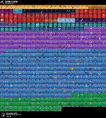 IMG_6842.jpeg