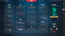 Collection.PNG