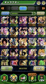 IMG_2667.jpeg