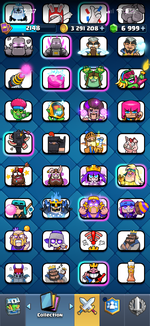 IMG_6981.png
