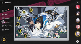 c9.png