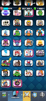 IMG_5801.png