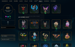 ward skin.PNG