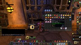 WoWScrnShot_012826_141627.jpg