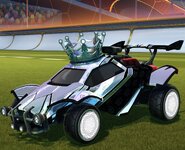 silver crowners.jpg