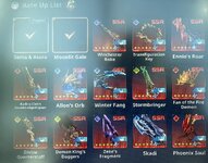 IMG_8397.jpeg