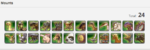 mount.png
