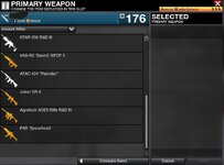 2gun3.JPG