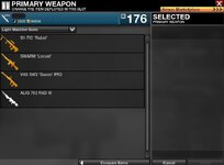 2gun5.JPG