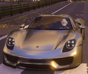 Porsche skin.png
