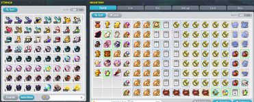 storage+inv.jpg