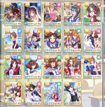 SR Support 2.jpg
